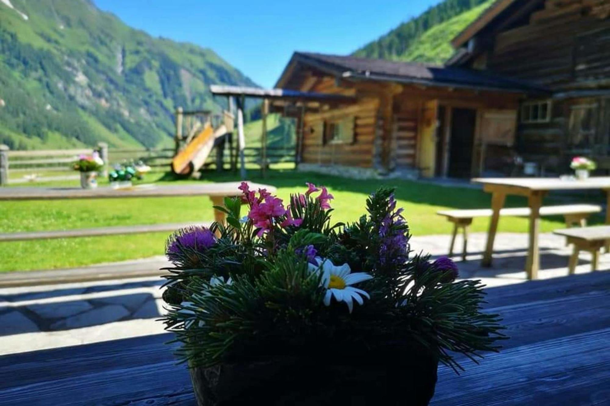 Andrea 7 By Smr Rauris Apartments - Inc Spa And Near Gondola Екстериор снимка